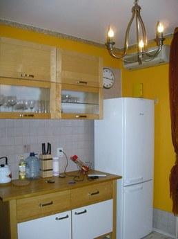 Cozy apartment near the  Dynamo, Moscow - apartment by the day