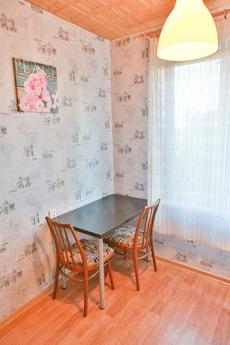 Apartment for Rent 'Friendship', Moscow - apartment by the day
