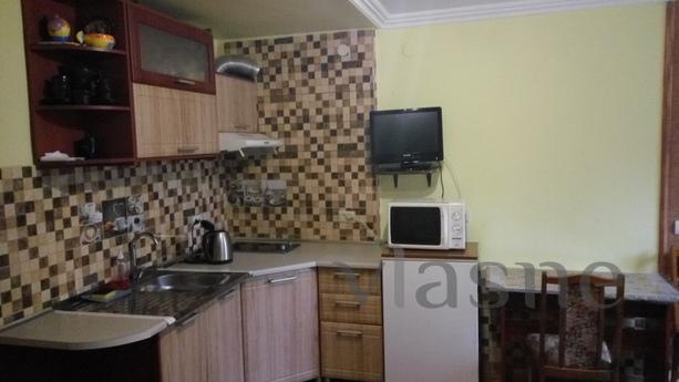 Apartment with separate entrance, Truskavets - apartment by the day