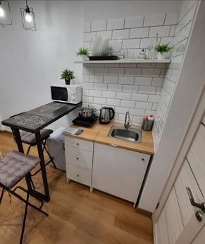 rent a studio apartment near the metro, Novosibirsk - apartment by the day