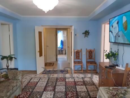 Spacious apartment in the center of Kyiv, Kyiv - apartment by the day