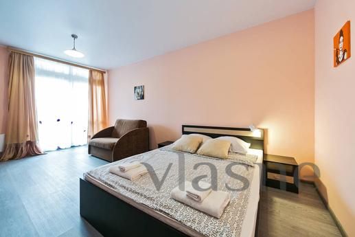 Bright and spacious apartment with a large bed, a sofa bed a