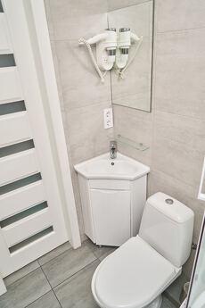 Apartment in the center of Kharkov Pushkinskaya, Kharkiv - apartment by the day