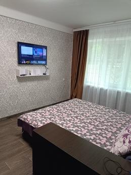 Уютная 1к квартира, Каменское (Днепродзержинск) - квартира посуточно