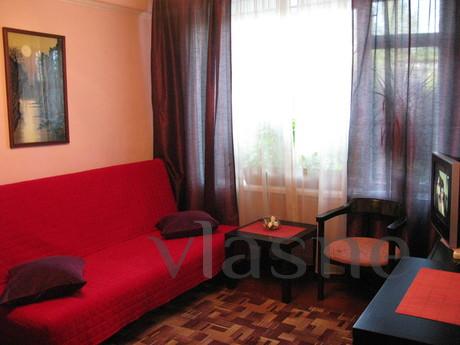 Rent for rent from owners studio apartment in the Nevsky dis