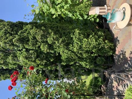 Zamiskiy Budynok Eco Comfort, Cherkasy - apartment by the day