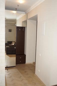 Studio near the metro Arsenal, Kyiv - apartment by the day