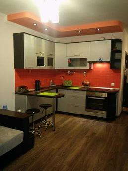 Subway Livoberezhna, studio apartment, Kyiv - apartment by the day