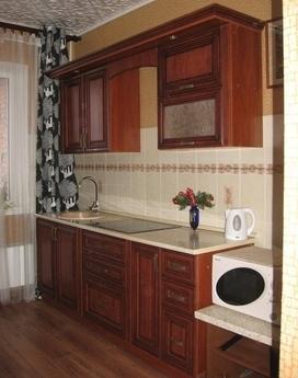 Rent one-bedroom apartment in the central area (the area of 