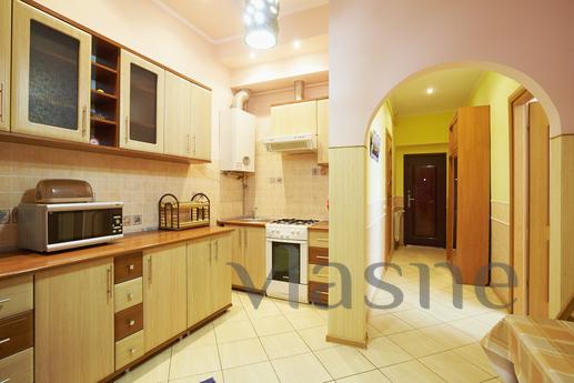 Cozy apartment near the Opera, Lviv - apartment by the day