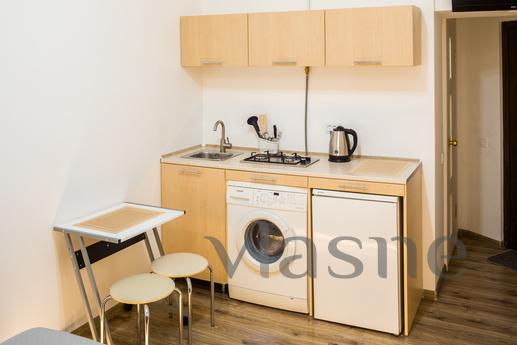 Stylish apartment in the center of Lviv, Lviv - apartment by the day