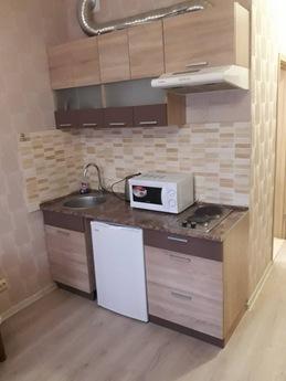 Cozy studio apartment in Darwin 20., Kharkiv - apartment by the day