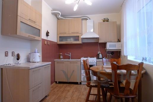 Cozy one bedroom apartment in the center, Moscow - apartment by the day