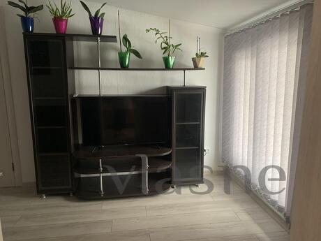 Apartment in the center of Kolomiya, Kolomyia - apartment by the day