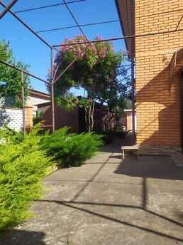 Hire to Karolino-Bugaz, Odessa - apartment by the day