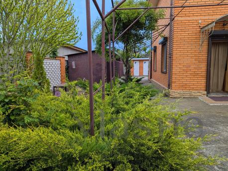 Hire to Karolino-Bugaz, Odessa - apartment by the day