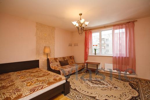 One bedroom cozy apartment with a fresh euro-renovation, a b
