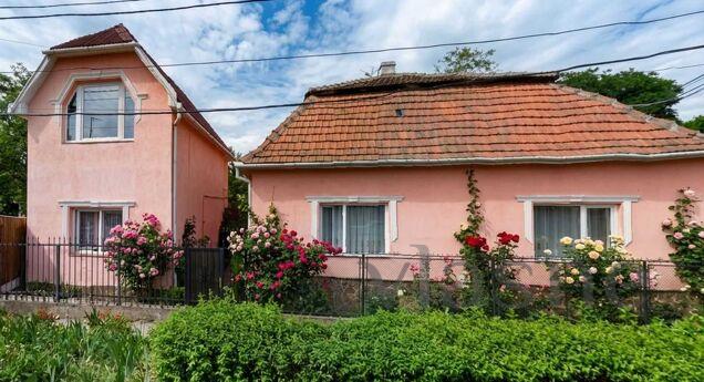Podobovo house for rent in Beregovo, Berehovo - apartment by the day