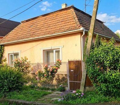 Podobovo house for rent in Beregovo, Berehovo - apartment by the day