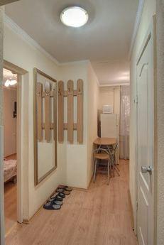 1-bedroom apartment on Leskova 6, Kyiv - apartment by the day