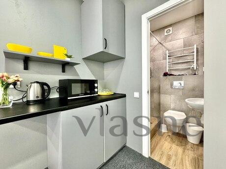 1k apartment for rent in Kiev, Kyiv - apartment by the day