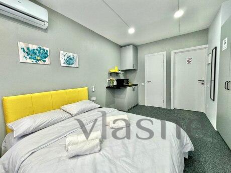 1k apartment for rent in Kiev, Kyiv - apartment by the day