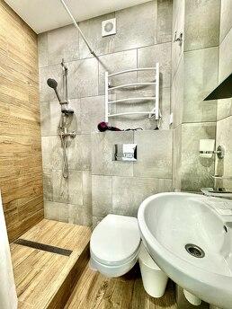 1k apartment for rent in Kiev, Kyiv - apartment by the day