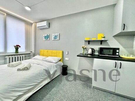 1k apartment for rent in Kiev, Kyiv - apartment by the day