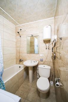 Rent 1k apartment on st. Hospital 2, Kyiv - apartment by the day