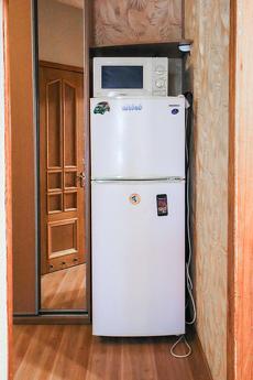 Rent 1k apartment on st. Hospital 2, Kyiv - apartment by the day
