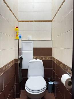 Rent a 3k apartment near the center of the capital, Kyiv - apartment by the day