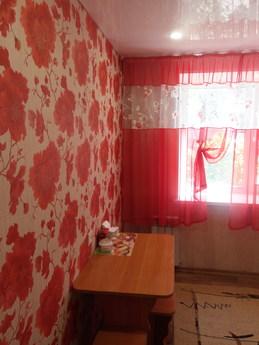Excellent 2-room apartment in the center, Barnaul - apartment by the day