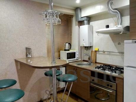 2 bedroom apartment in the center, Dnipro (Dnipropetrovsk) - apartment by the day
