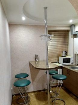 2 bedroom apartment in the center, Dnipro (Dnipropetrovsk) - apartment by the day