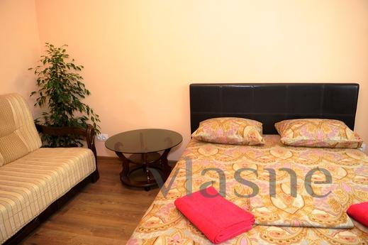 1 bedroom apartment for rent, Kyiv - apartment by the day