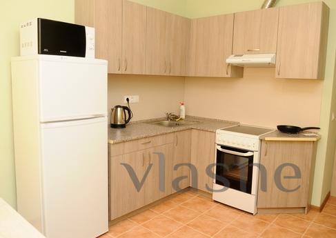 1 bedroom apartment for rent, Kyiv - apartment by the day