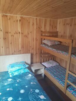 Houses are available for rent on the seashore near Koblevo i