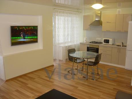 A good one-bedroom apartment in the city center near the Cat