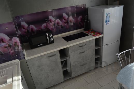 Studio in the center, Belgorod - apartment by the day