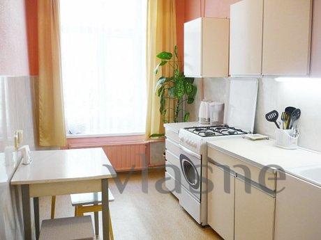 Comfortable apartment in the center of M, Moscow - apartment by the day