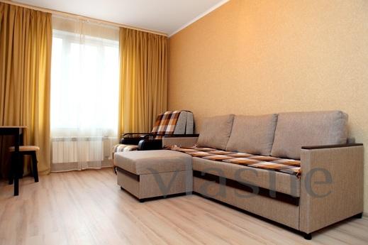 Spacious apartment located in a 10-minute walk from the metr