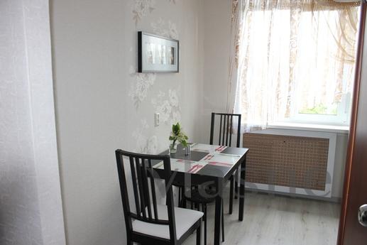 Cozy apartment near the subway, Saint Petersburg - apartment by the day