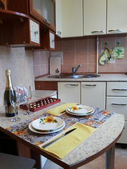Apartment for rent in the Permian, Perm - apartment by the day